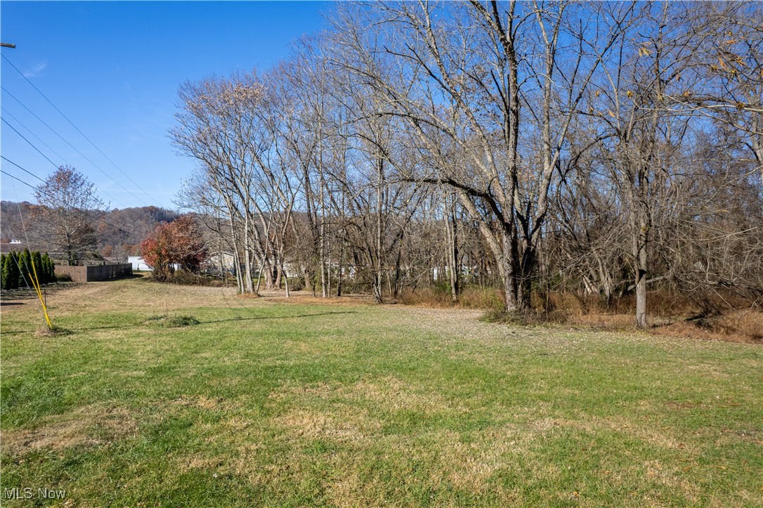 Old Mill Rd Street St. Marys, WV 26170 - Photo 4 of 13 View of grassy yard