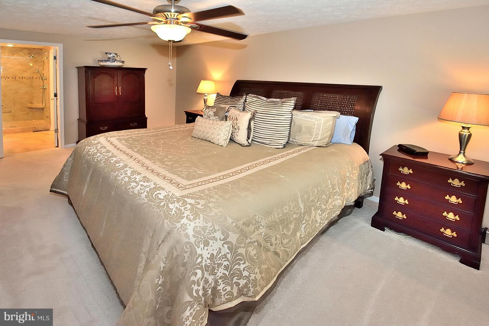 1394 Concord Point Lane Reston, VA 20194 - Photo 15 of 30 Spacious master bedroom