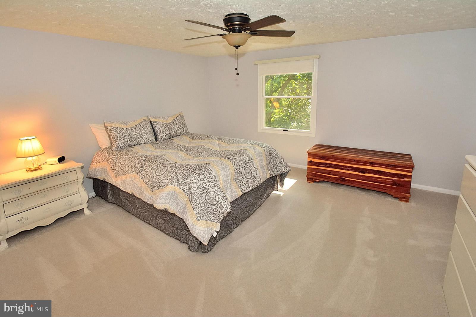 1394 Concord Point Lane Reston, VA 20194 - Photo 18 of 30 Newly installed carpet upstairs