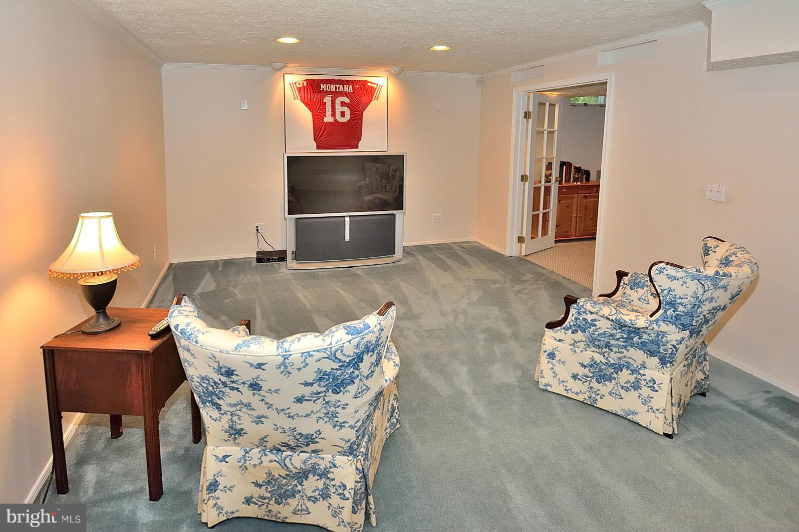 1394 Concord Point Lane Reston, VA 20194 - Photo 22 of 30 Lwr. Level Rec. Rm. HUGE storage rm Laundry rm