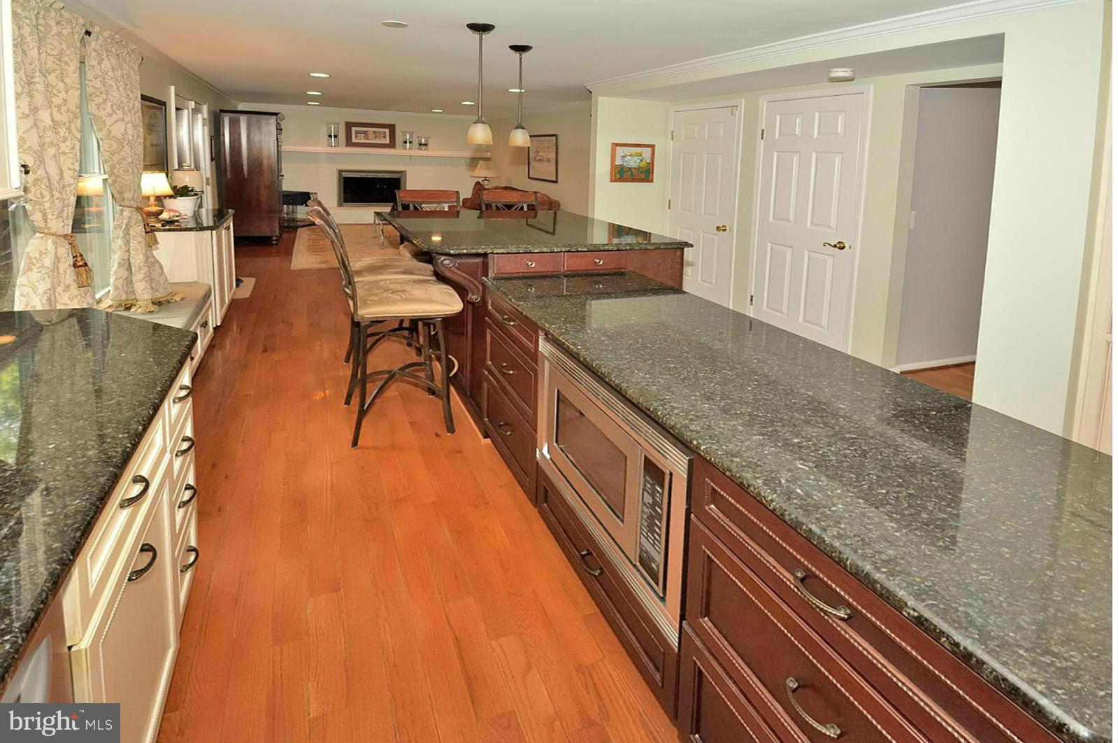 1394 Concord Point Lane Reston, VA 20194 - Photo 8 of 30 Granite counter tops