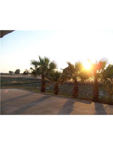 14741 Compass Street, Unit 12 Corpus Christi, TX 78418 - Photo 5 of 6 a view of a yard