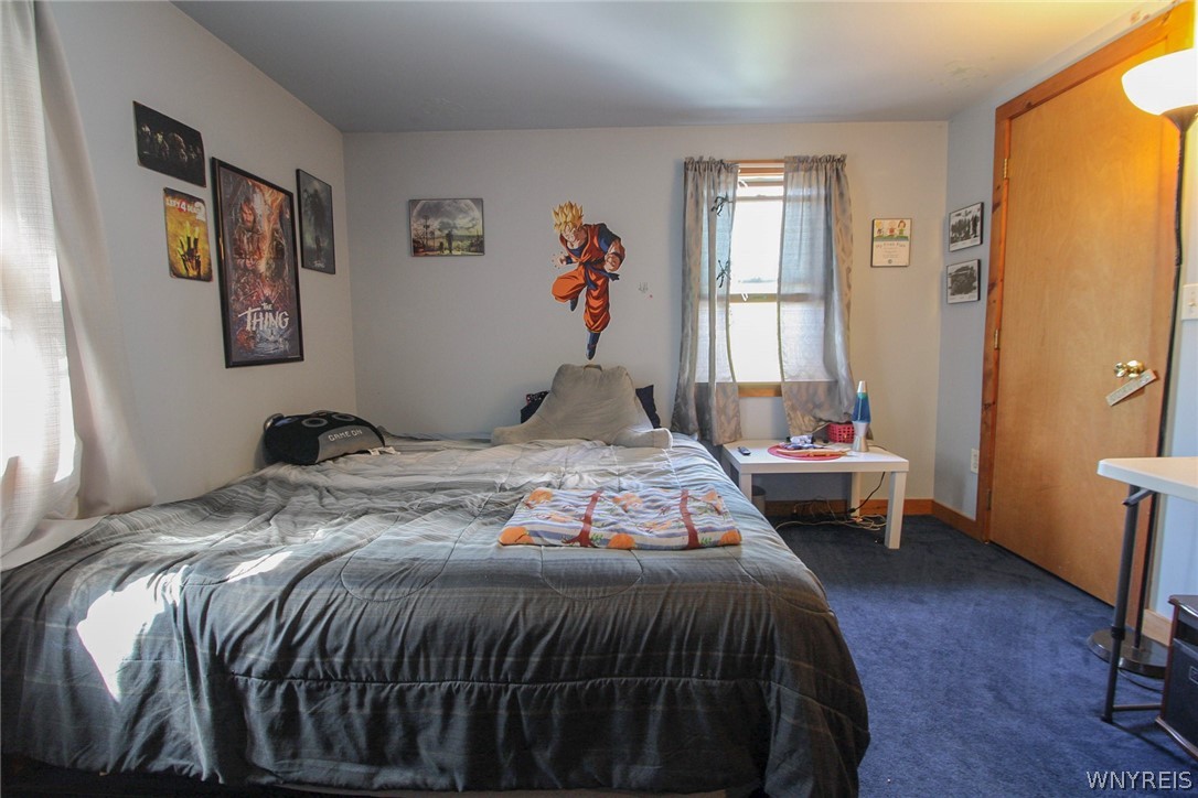 10246 Mill Road Ridgeway, NY 14103 - Photo 23 of 47