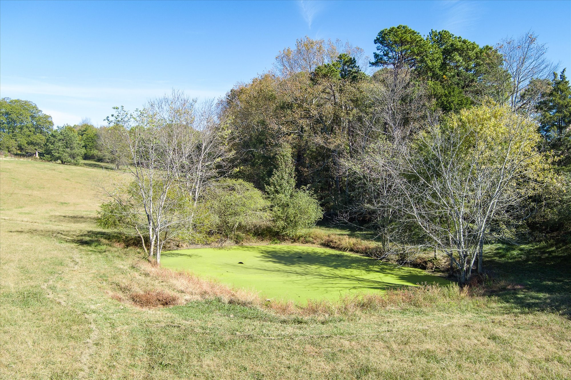 3317 Old Kentucky Road Sparta, TN 38583 - Photo 45 of 70 Gallery Image 45