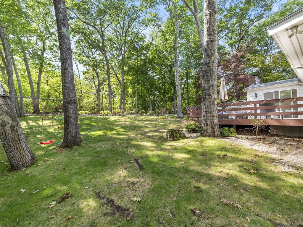 6 Nelson Drive Brookline, MA 02467 - Photo 27 of 31