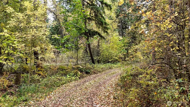 a view of a street with trees