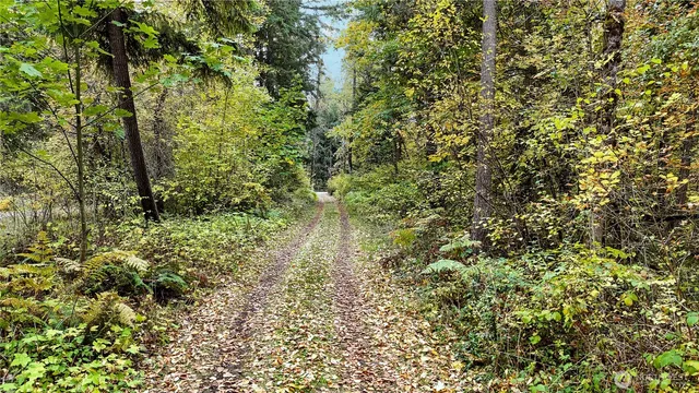 a view of a pathway both side of yard