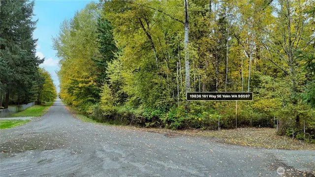 a view of a forest with a street