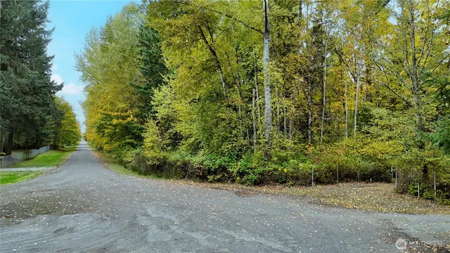a view of a garden with plants and trees