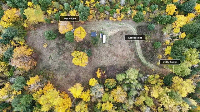 a view of a yard with flower plants