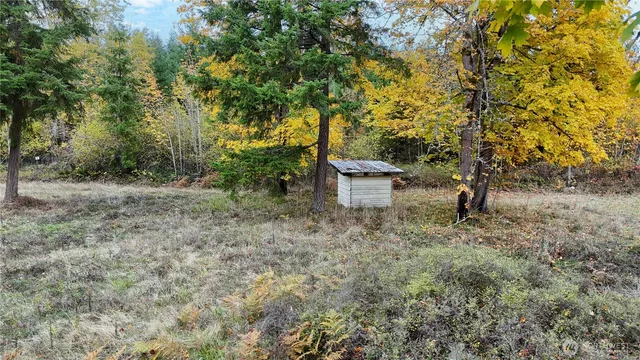a view of a forest with trees