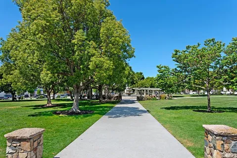 a view of a park with large trees