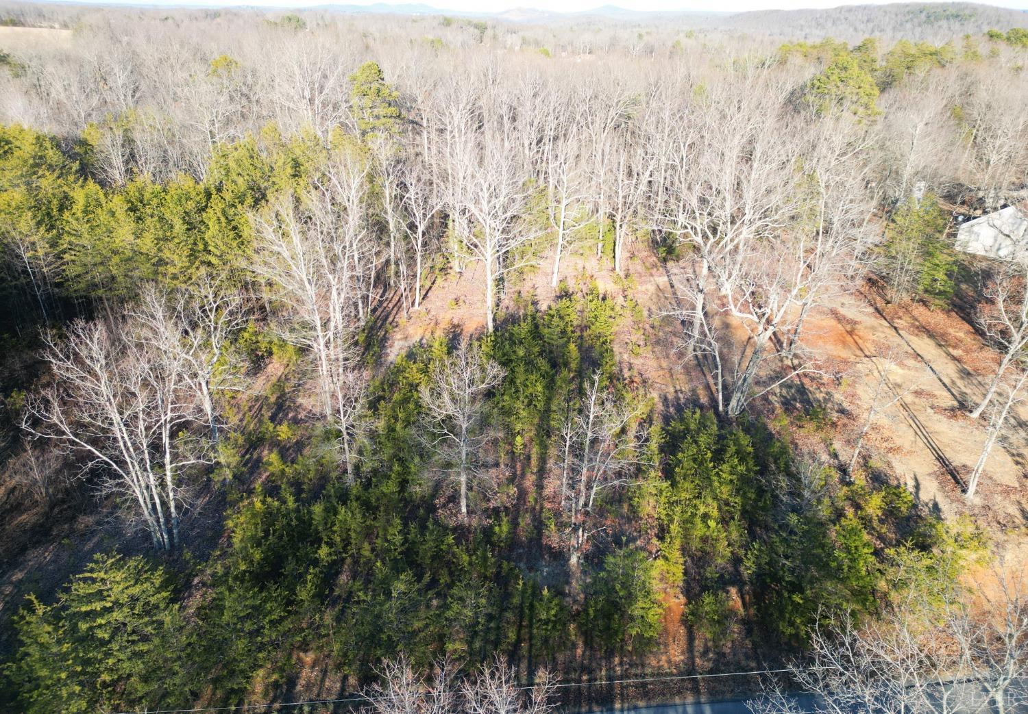 0 Beasley Road Lynchburg, VA 24504 - Photo 13 of 23 Gallery Image 13