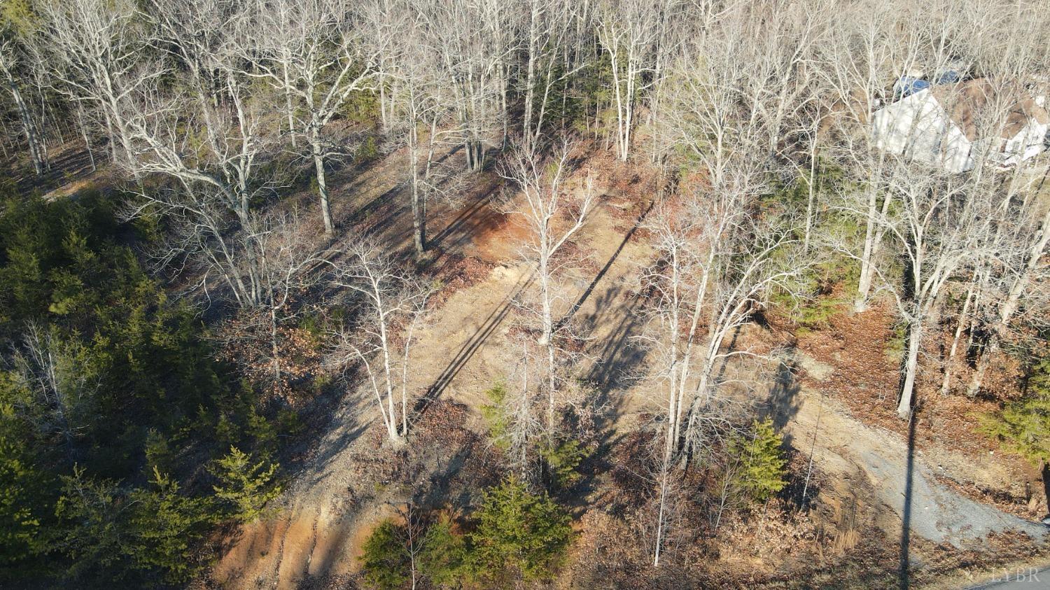 0 Beasley Road Lynchburg, VA 24504 - Photo 7 of 23 Gallery Image 7