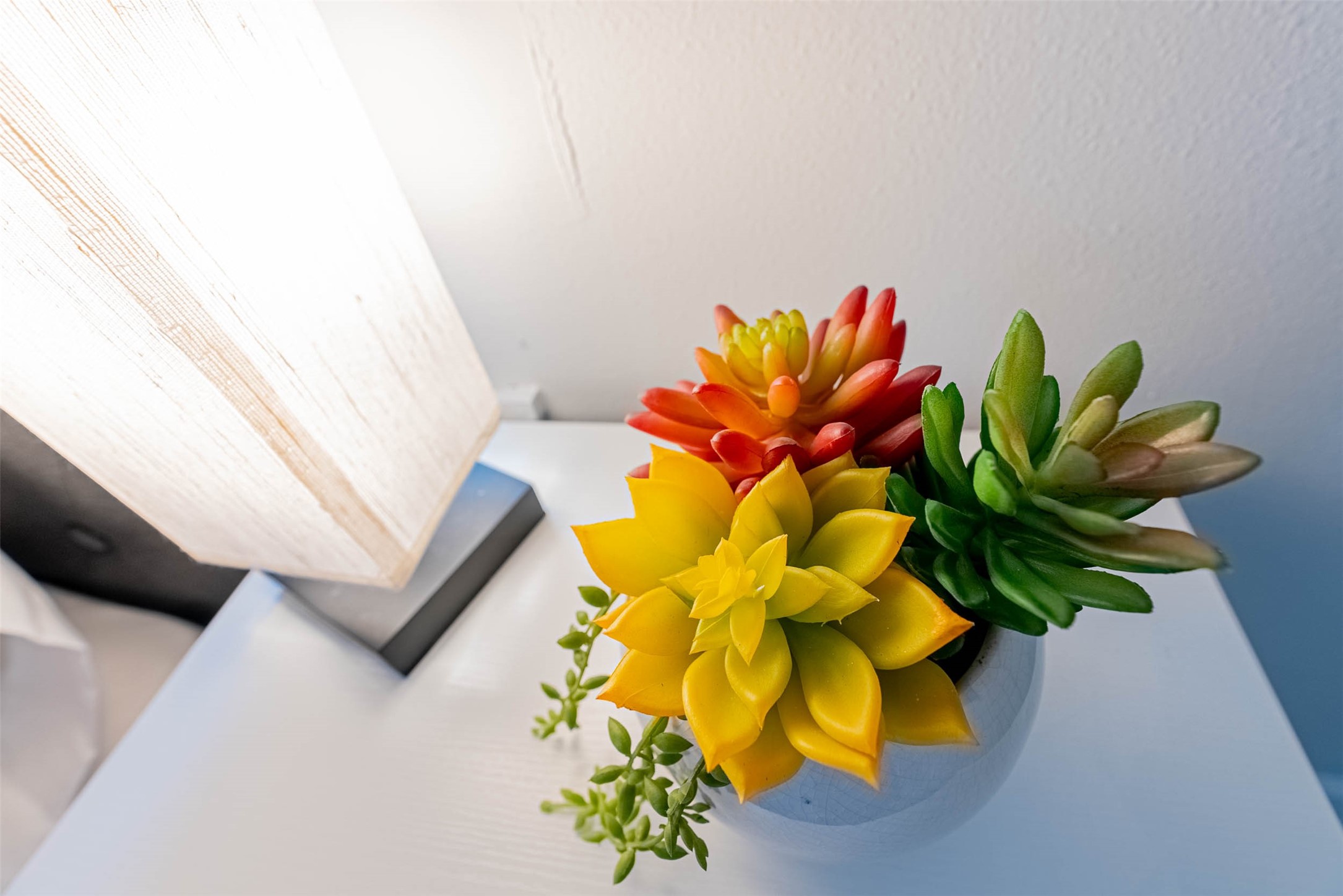 3910 Luca Street Houston, TX 77021 - Photo 25 of 29 a view of a flower in a room