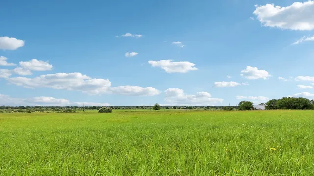 $1,375,000 | 170 Zack Lane, Giddings, TX 78942