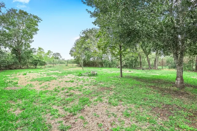 a view of a grassy field with trees