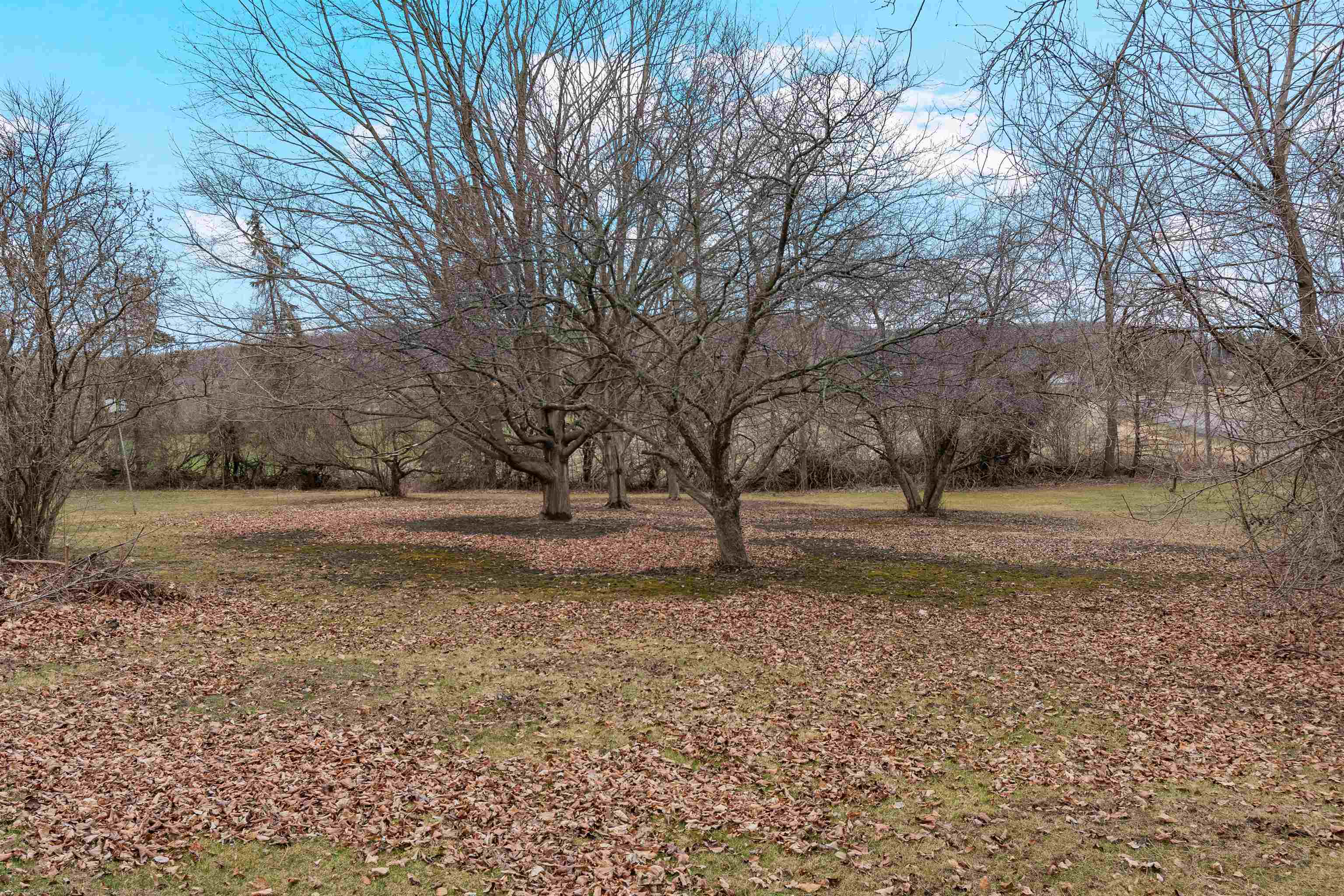 242 Kellogg Road St. Albans Town, VT 05478 - Photo 4 of 44