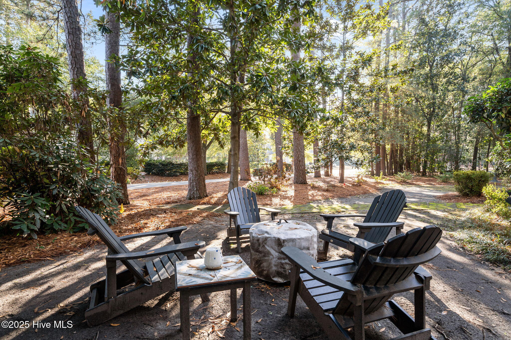 45 Everette Road Pinehurst, NC 28374 - Photo 45 of 48 Firepit