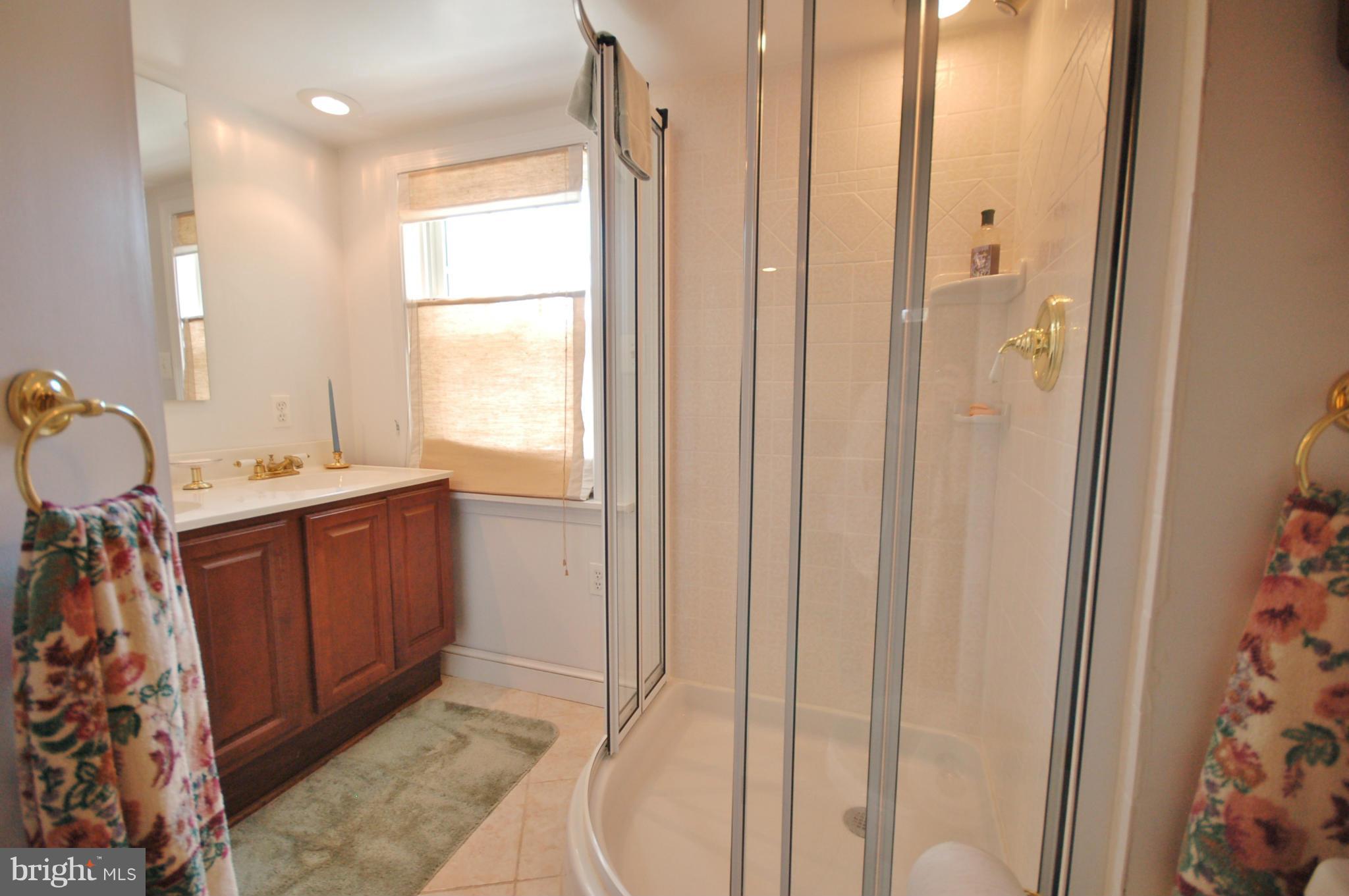 19104 Olney Mill Road Olney, MD 20832 - Photo 22 of 28 Lower Level Master bath