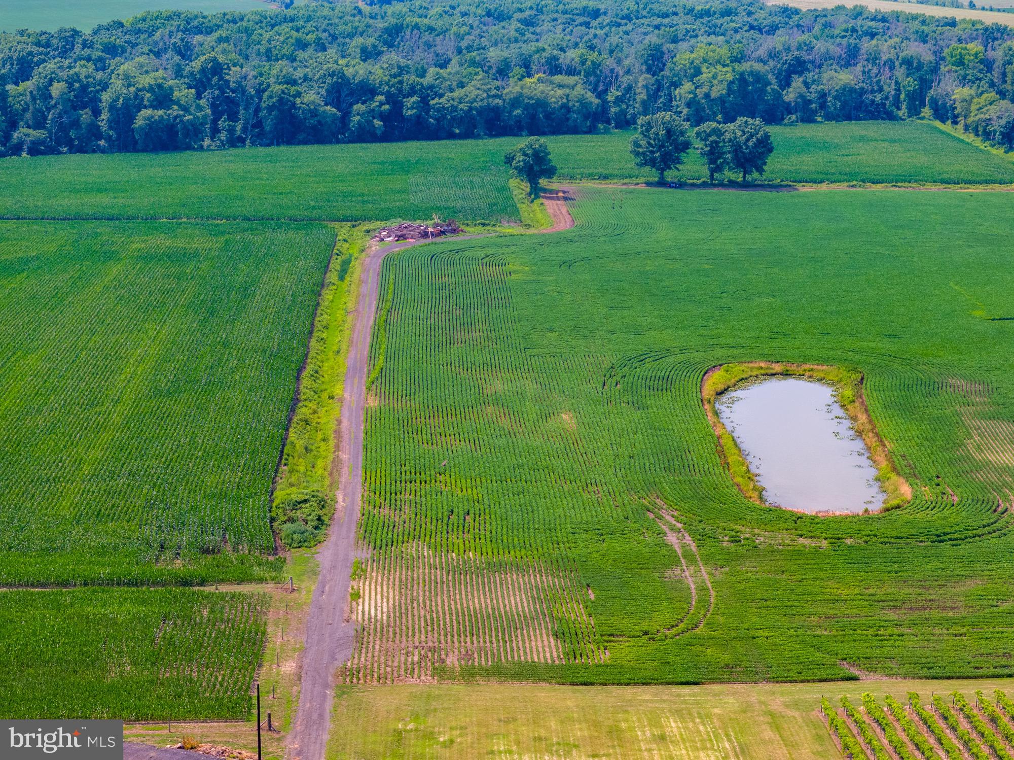 27058 Mt Pleasant Road Columbus, NJ 08022 - Photo 106 of 127