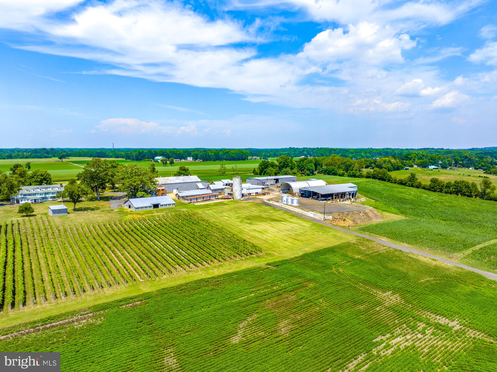 27058 Mt Pleasant Road Columbus, NJ 08022 - Photo 107 of 127