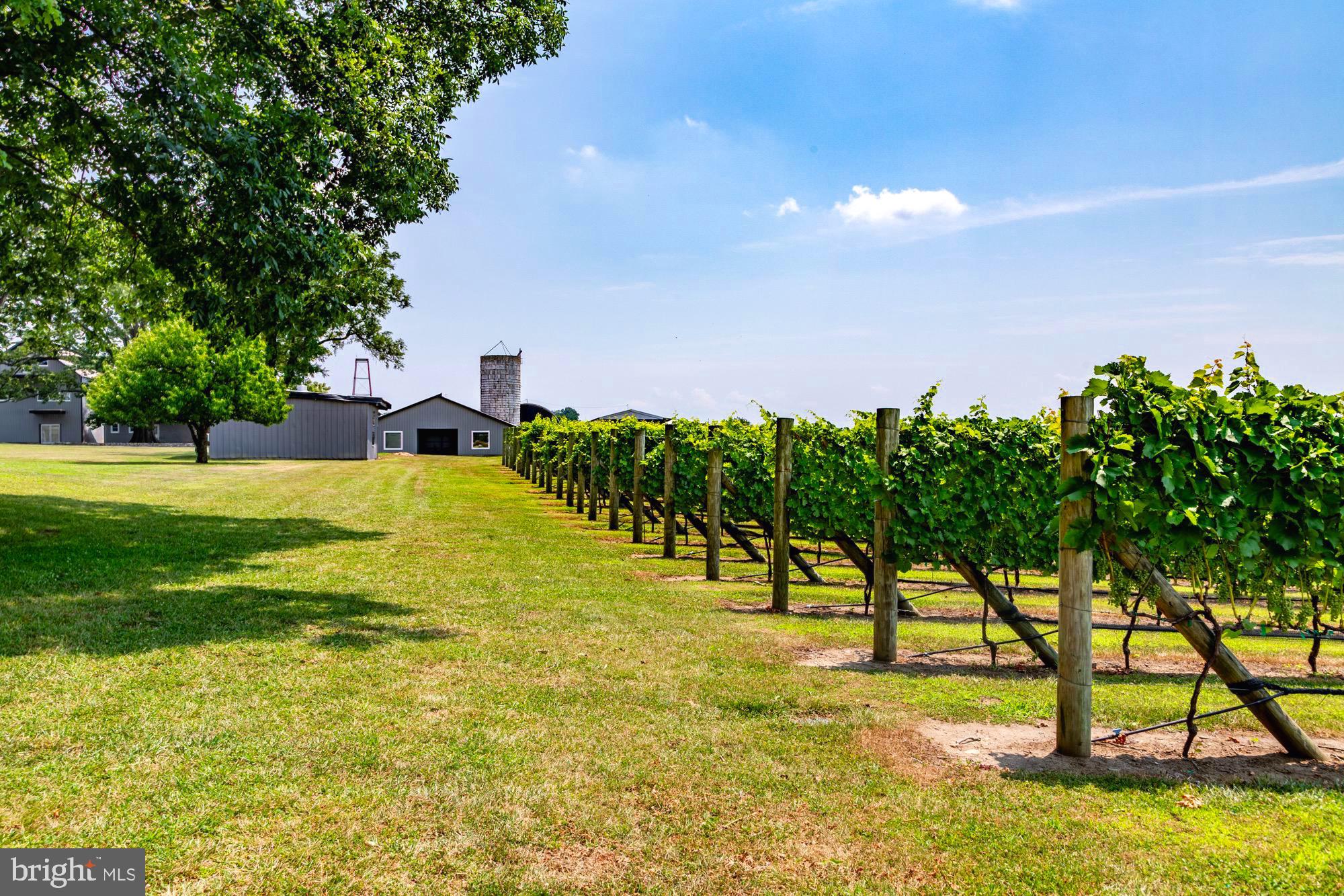 27058 Mt Pleasant Road Columbus, NJ 08022 - Photo 11 of 127