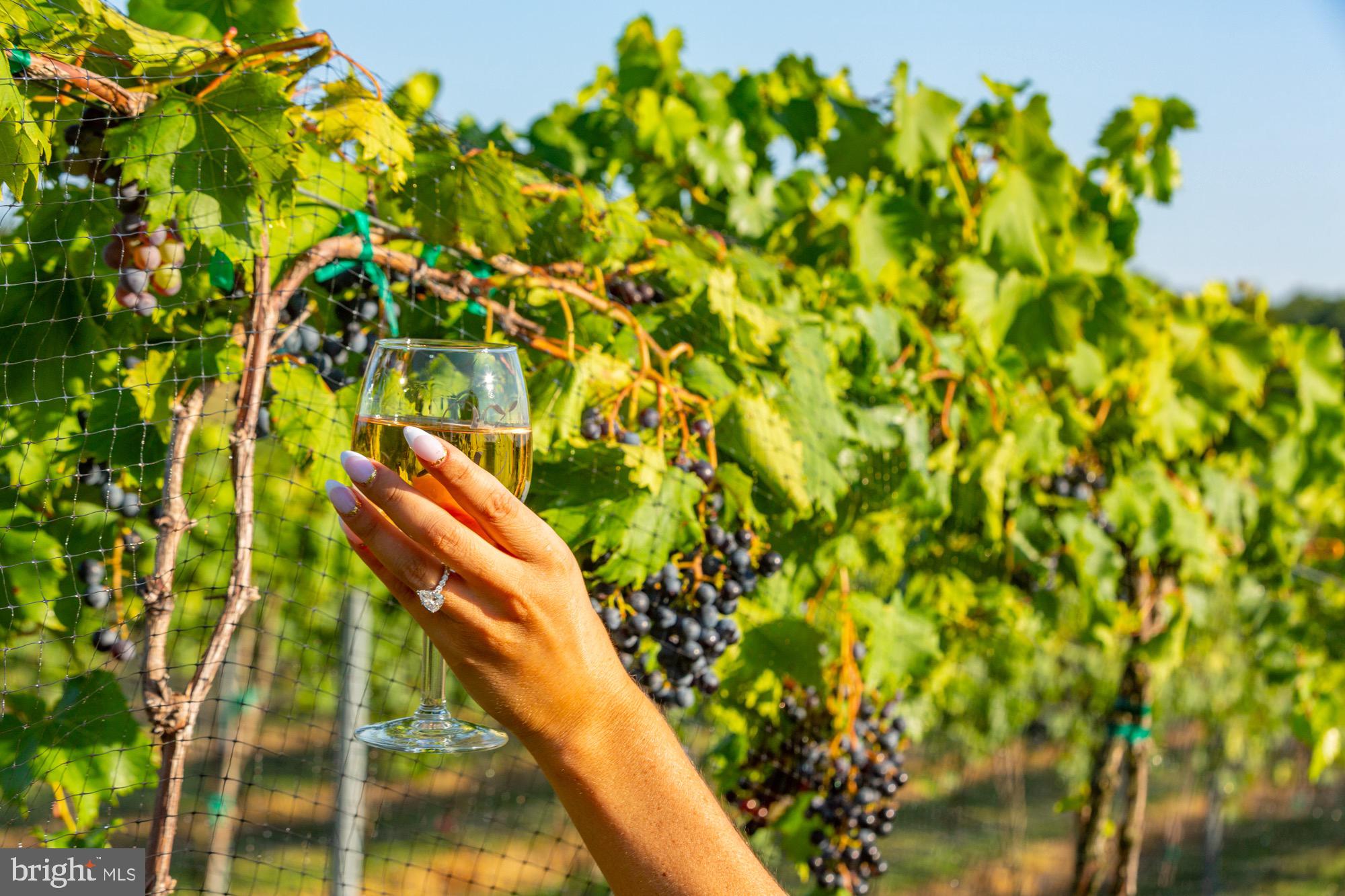 27058 Mt Pleasant Road Columbus, NJ 08022 - Photo 115 of 127