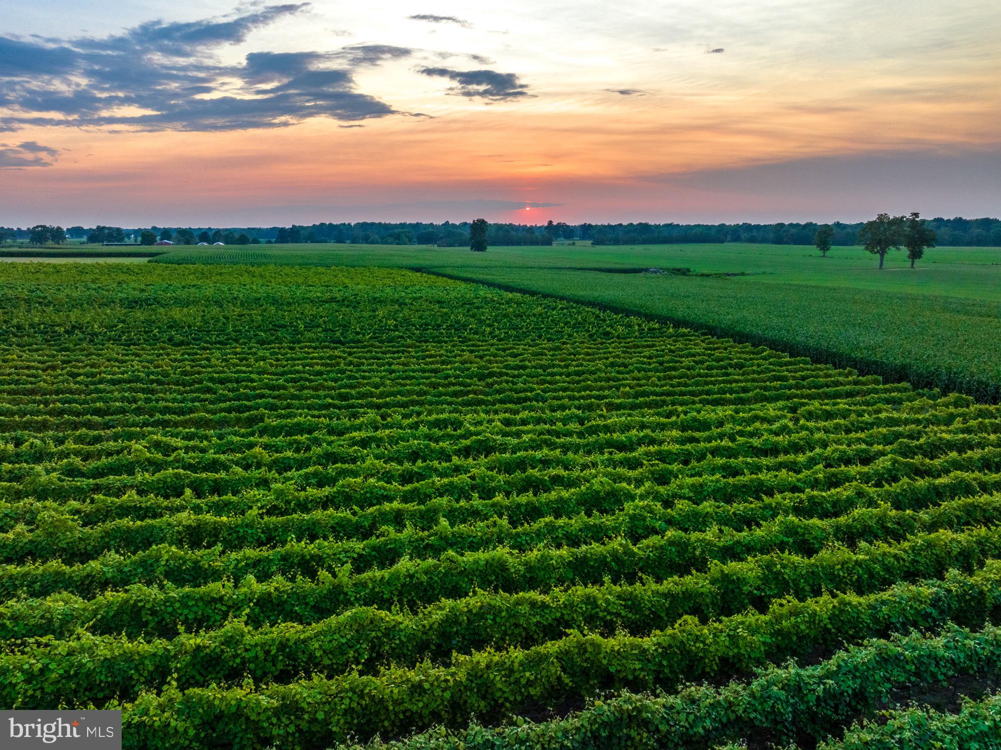 27058 Mt Pleasant Road Columbus, NJ 08022 - Photo 119 of 127