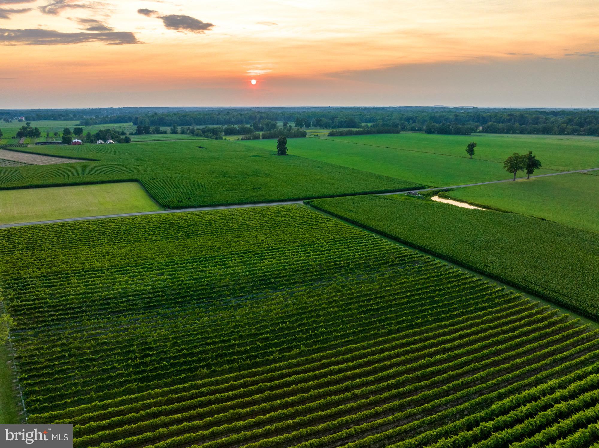 27058 Mt Pleasant Road Columbus, NJ 08022 - Photo 120 of 127 a view of a green field with clear sky
