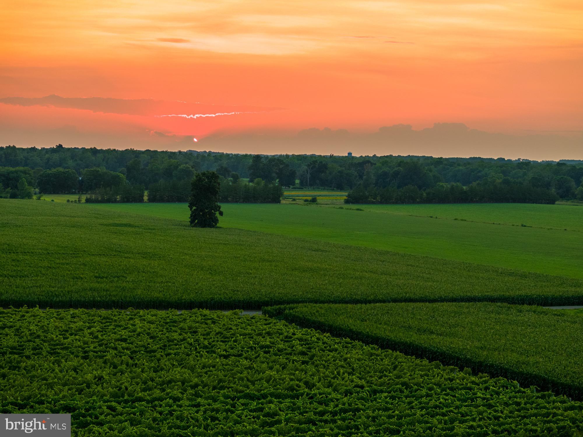 27058 Mt Pleasant Road Columbus, NJ 08022 - Photo 121 of 127