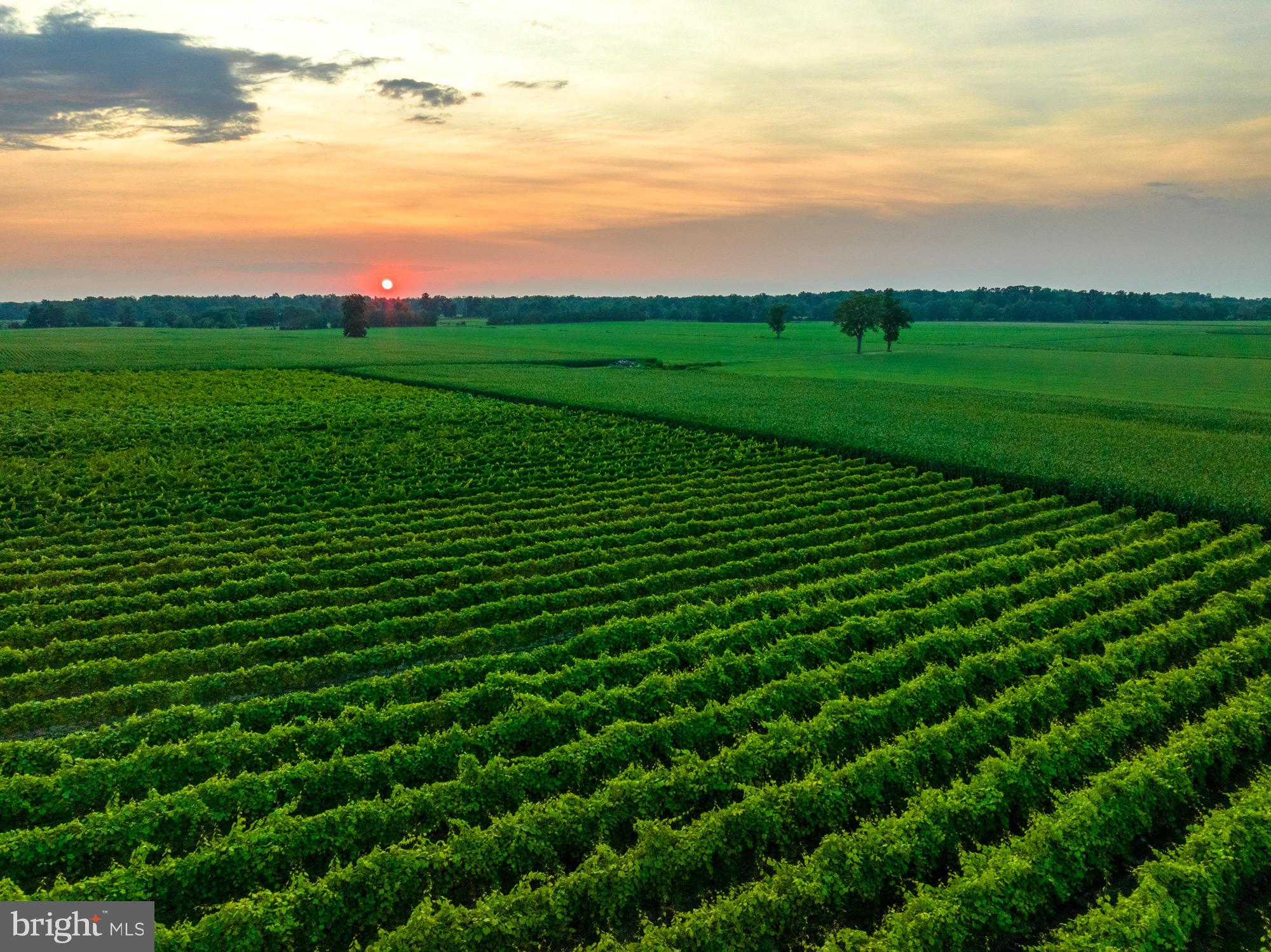 27058 Mt Pleasant Road Columbus, NJ 08022 - Photo 123 of 127