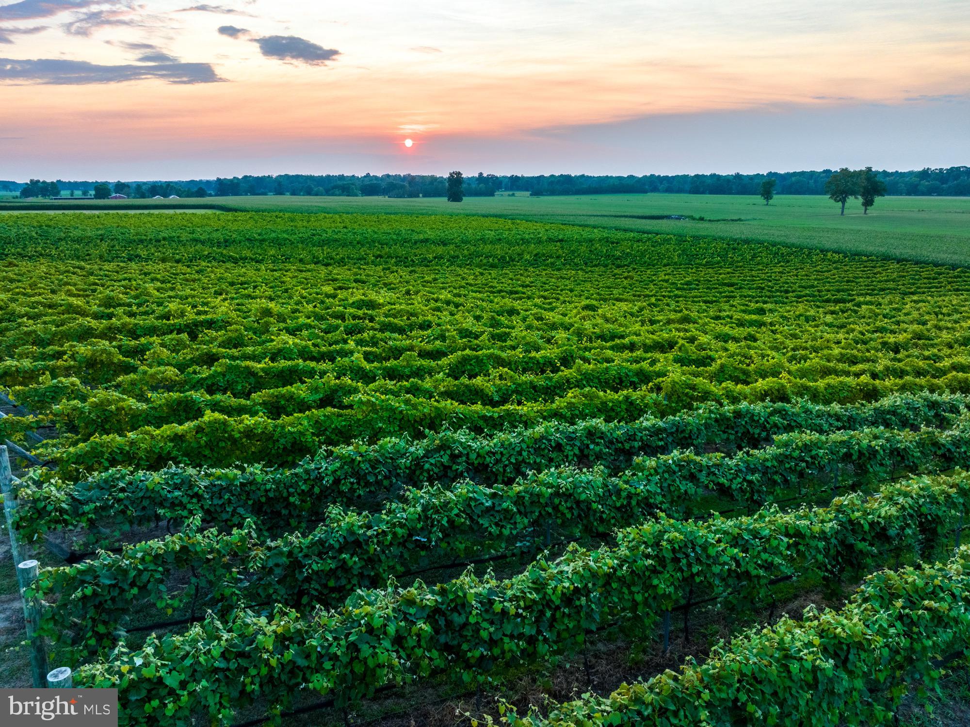 27058 Mt Pleasant Road Columbus, NJ 08022 - Photo 124 of 127 a view of a city with lush green space