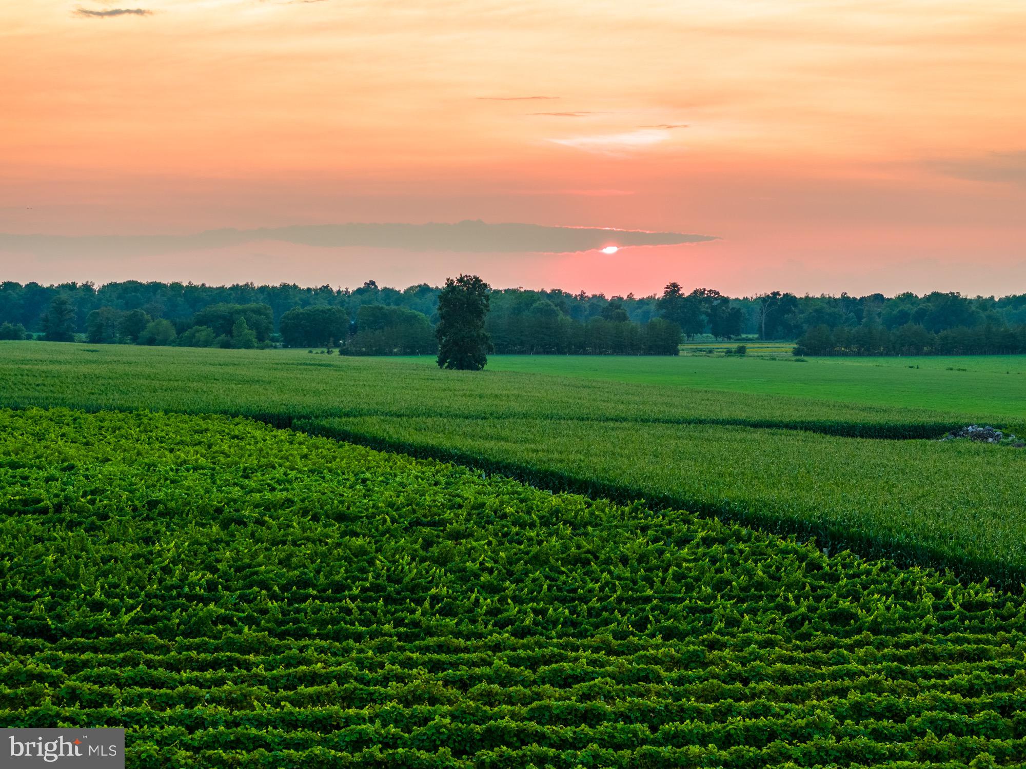 27058 Mt Pleasant Road Columbus, NJ 08022 - Photo 125 of 127 a view of a lake with a house in the background