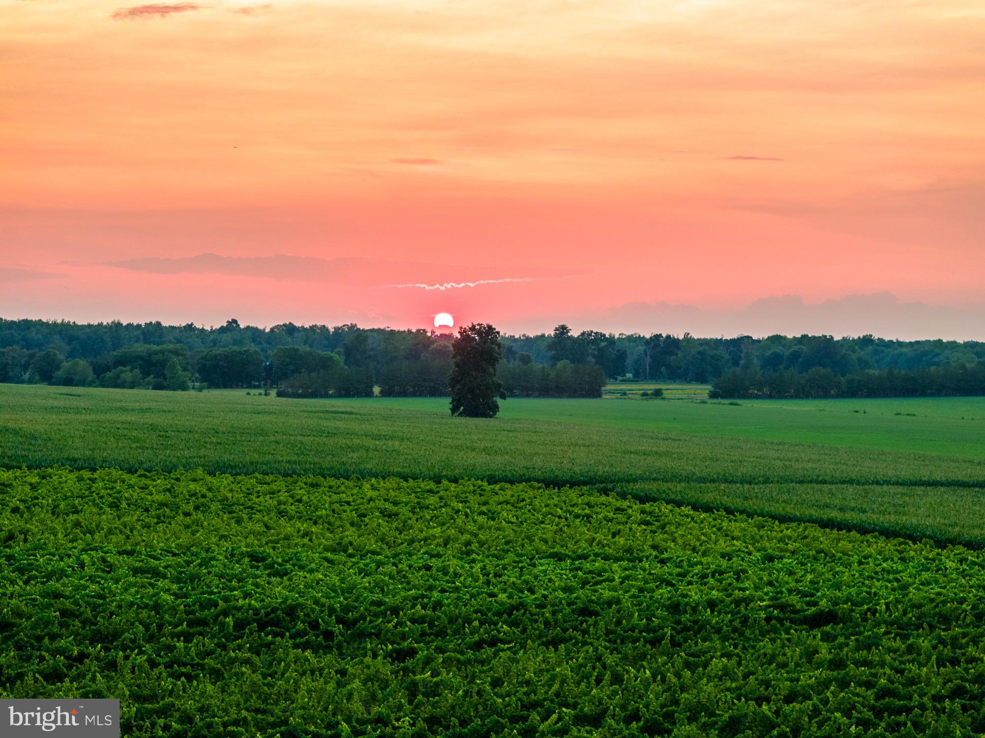 27058 Mt Pleasant Road Columbus, NJ 08022 - Photo 127 of 127