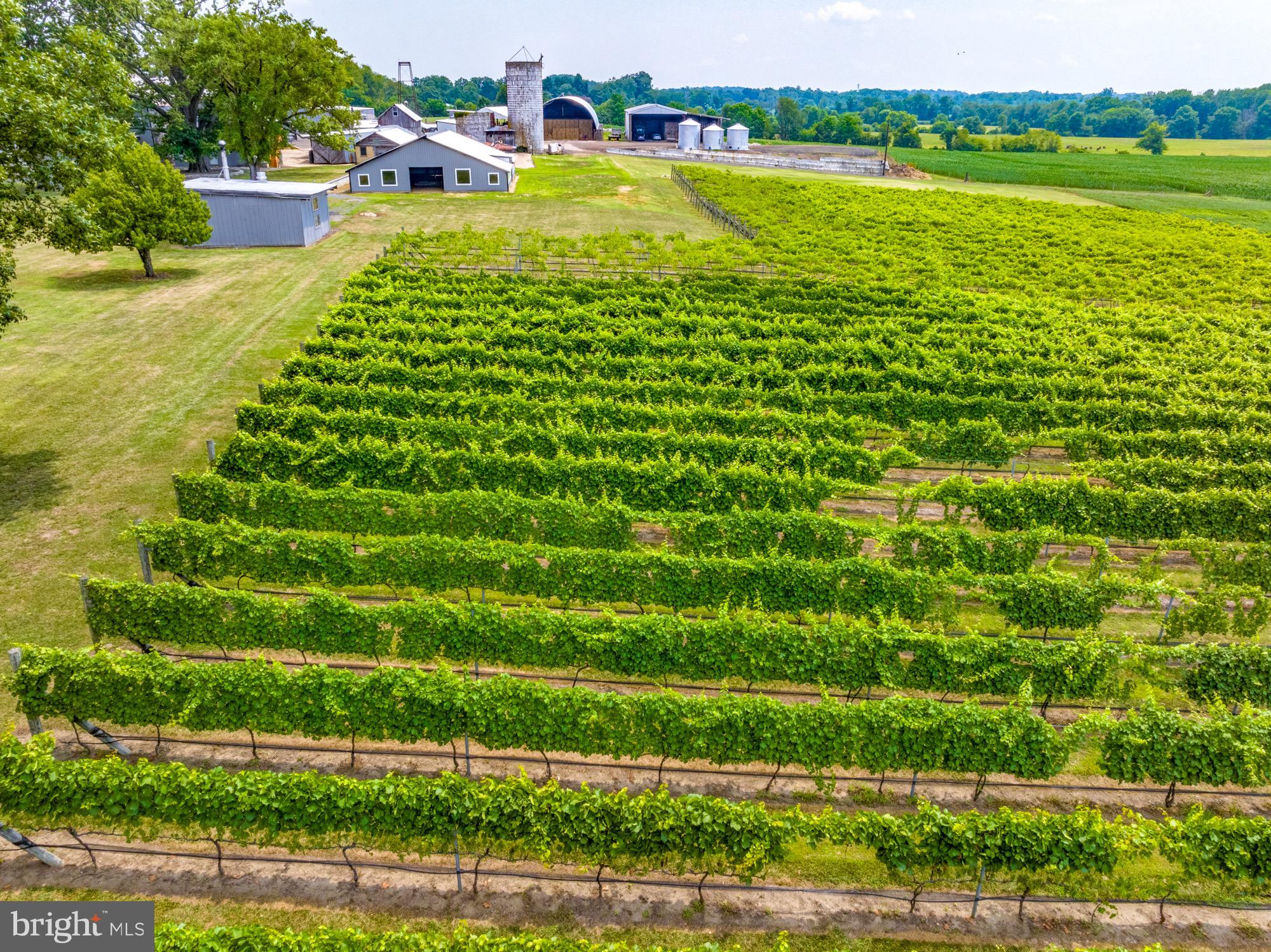 27058 Mt Pleasant Road Columbus, NJ 08022 - Photo 13 of 127 a view of a swimming pool with an outdoor space and seating area