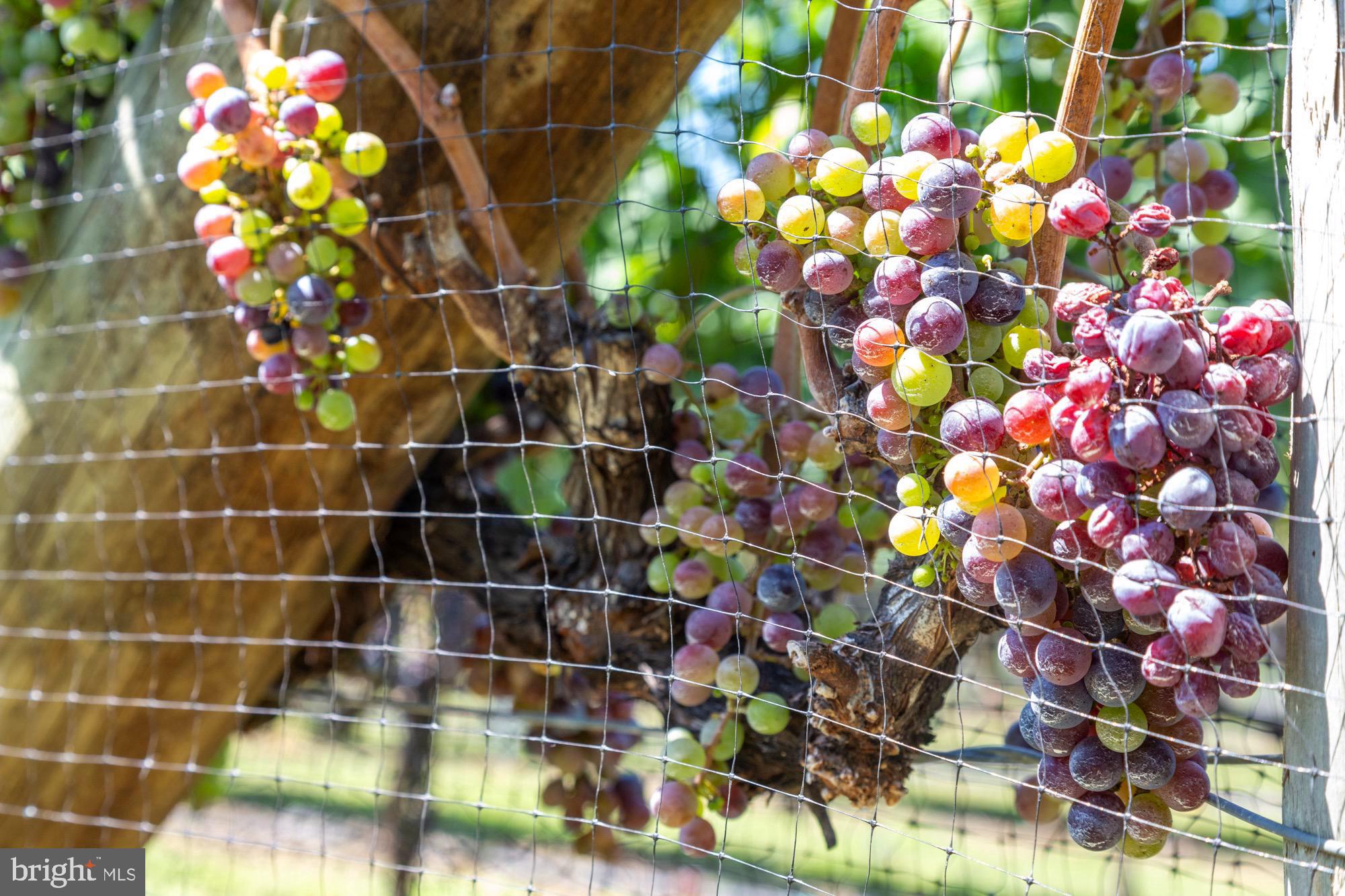 27058 Mt Pleasant Road Columbus, NJ 08022 - Photo 14 of 127