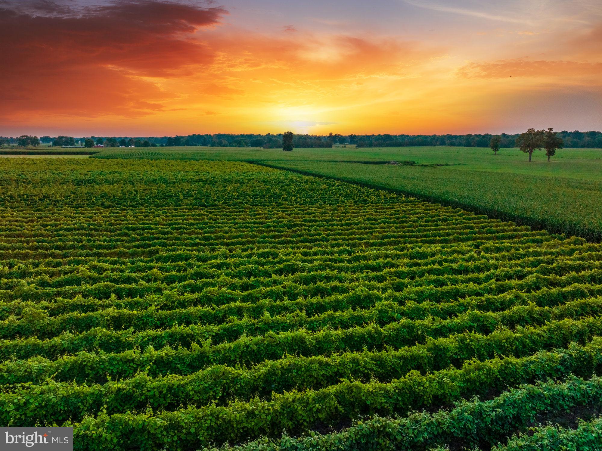 27058 Mt Pleasant Road Columbus, NJ 08022 - Photo 3 of 127