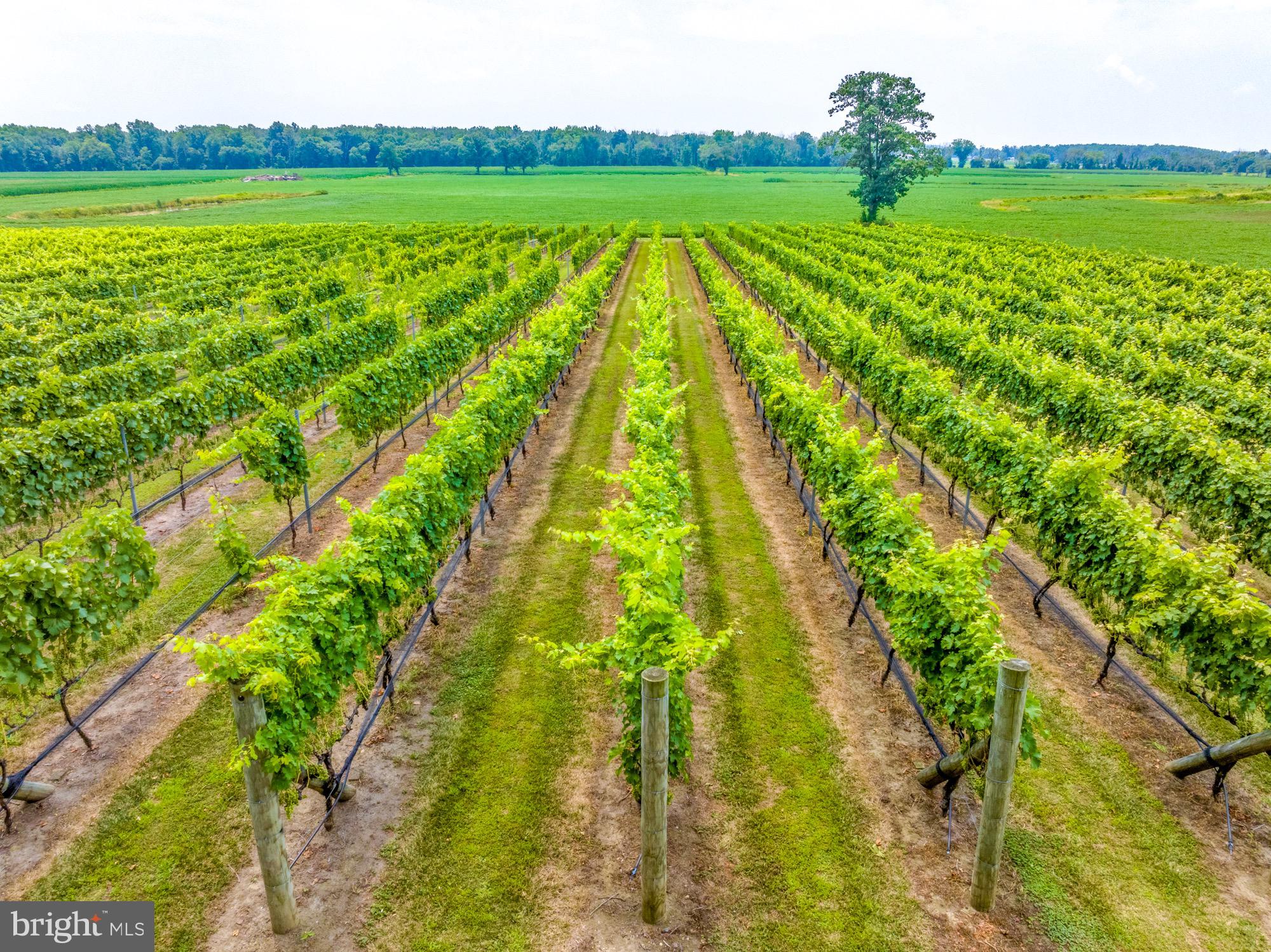 27058 Mt Pleasant Road Columbus, NJ 08022 - Photo 69 of 127 a view of an outdoor space and a lake view