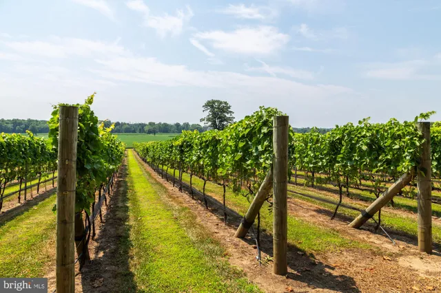 $5,500,000 | 27058 Mt Pleasant Road, Columbus, NJ 08022