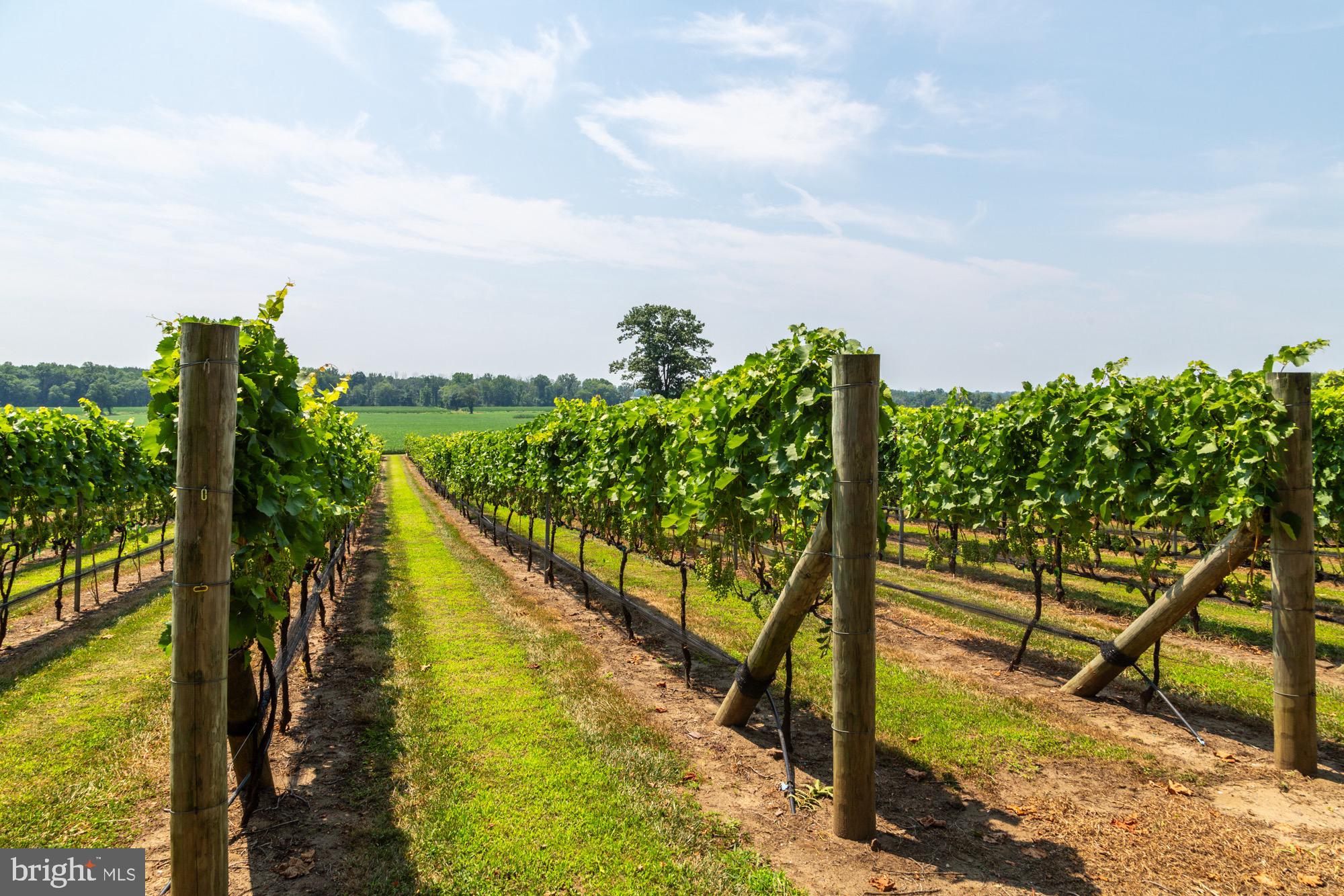 27058 Mt Pleasant Road Columbus, NJ 08022 - Photo 71 of 127 a view of a swimming pool with an outdoor seating and a yard
