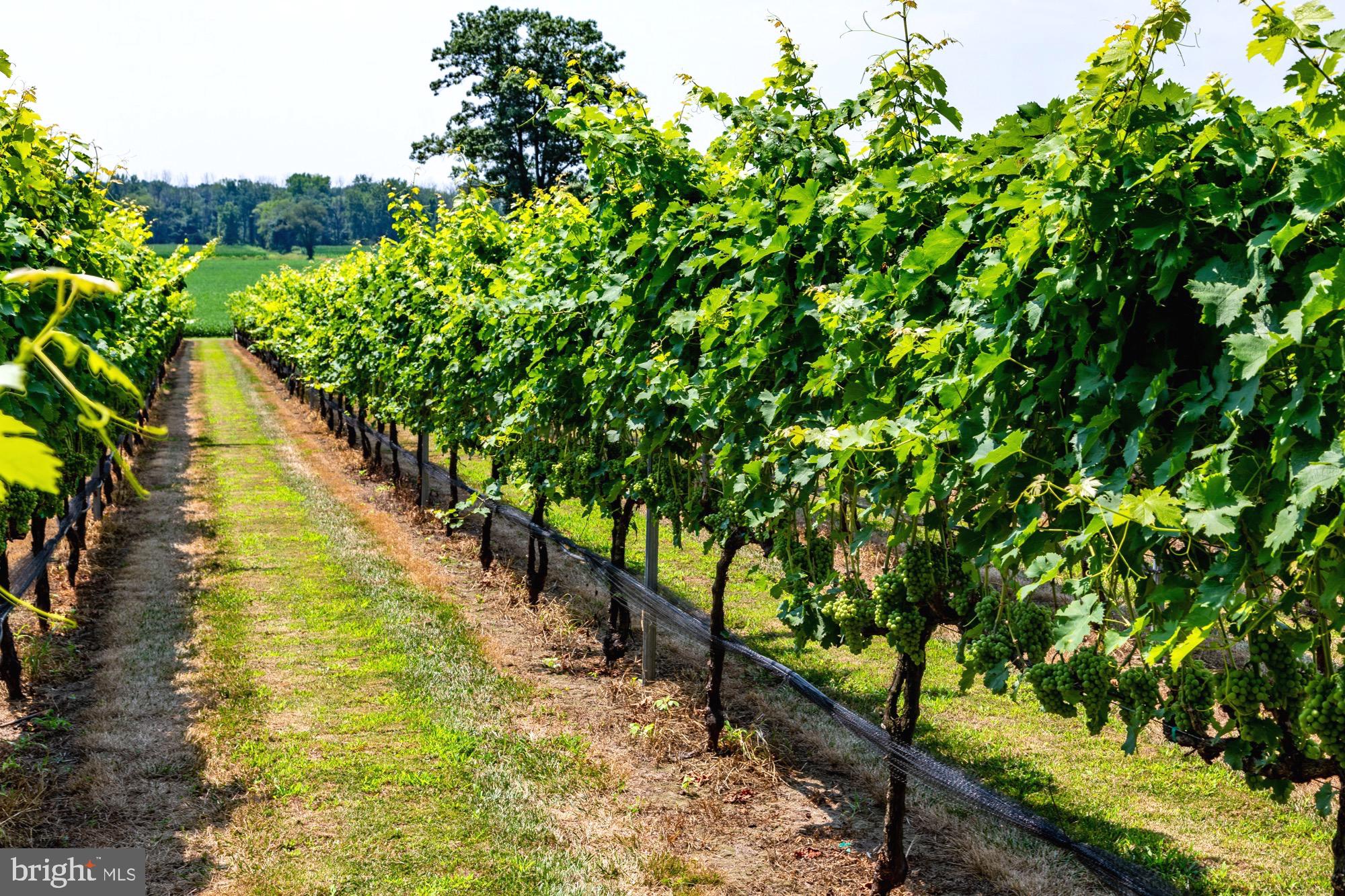 27058 Mt Pleasant Road Columbus, NJ 08022 - Photo 8 of 127