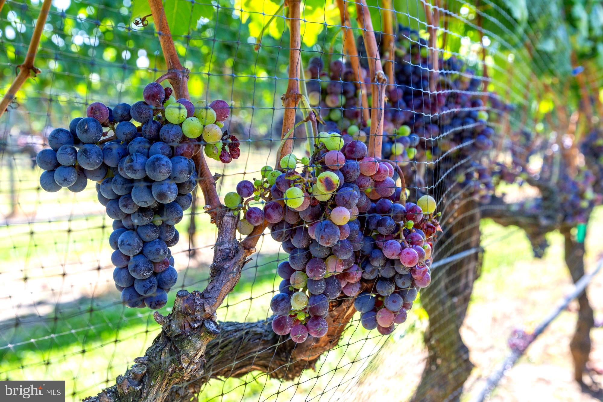 27058 Mt Pleasant Road Columbus, NJ 08022 - Photo 9 of 127