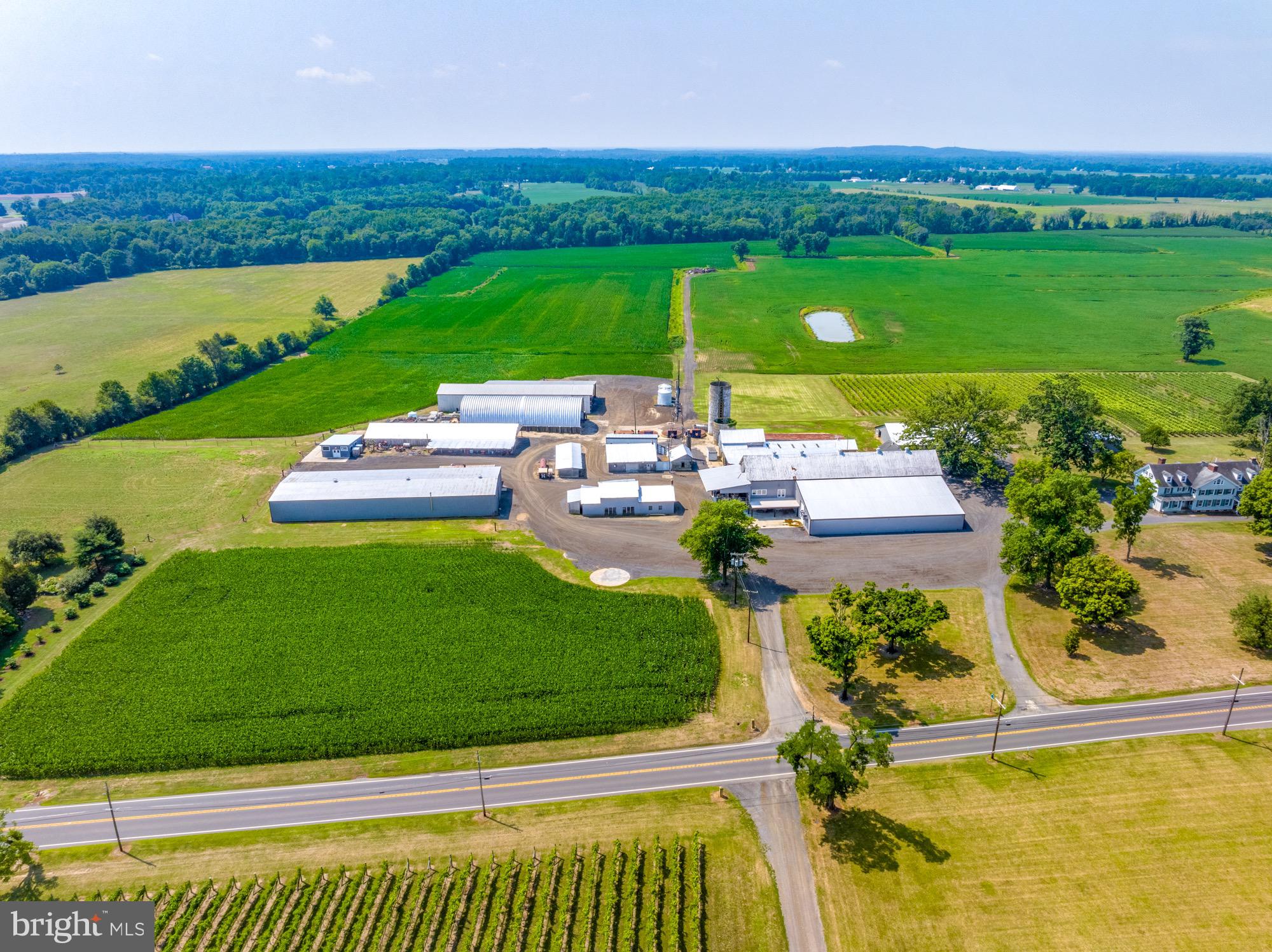 27058 Mt Pleasant Road Columbus, NJ 08022 - Photo 91 of 127 a view of a swimming pool and lounge chairs in back yard of the house