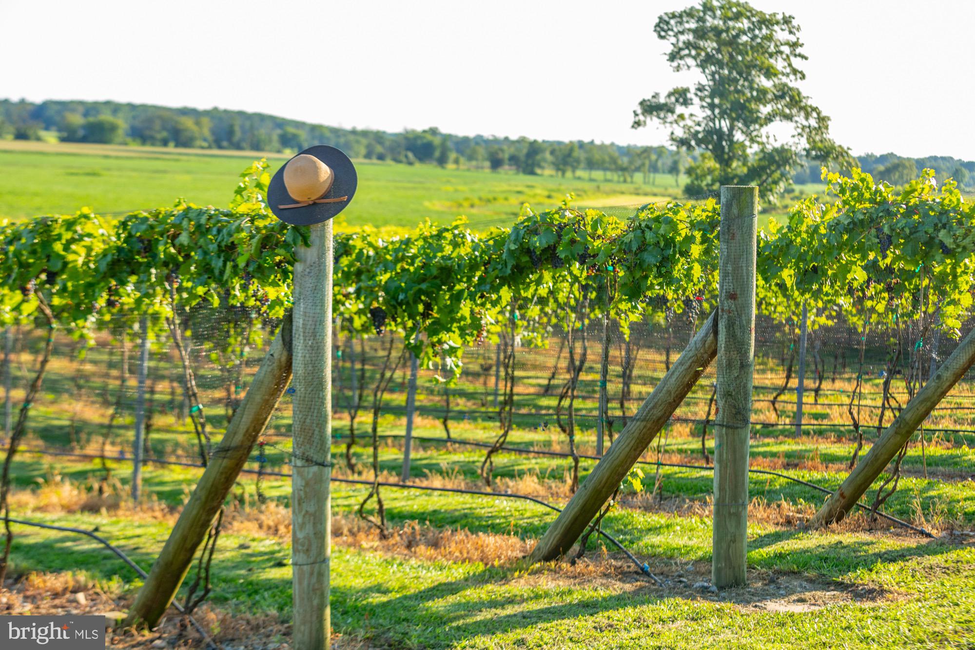 27058 Mt Pleasant Road Columbus, NJ 08022 - Photo 93 of 127