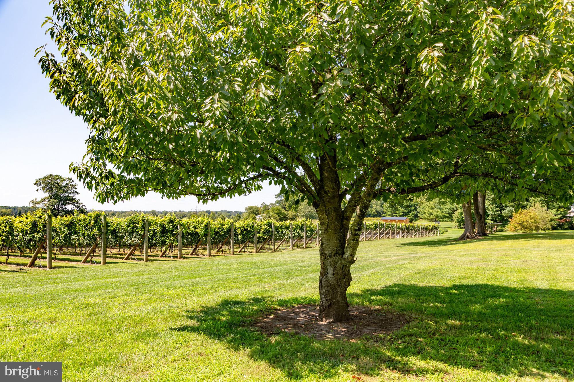 27058 Mt Pleasant Road Columbus, NJ 08022 - Photo 94 of 127