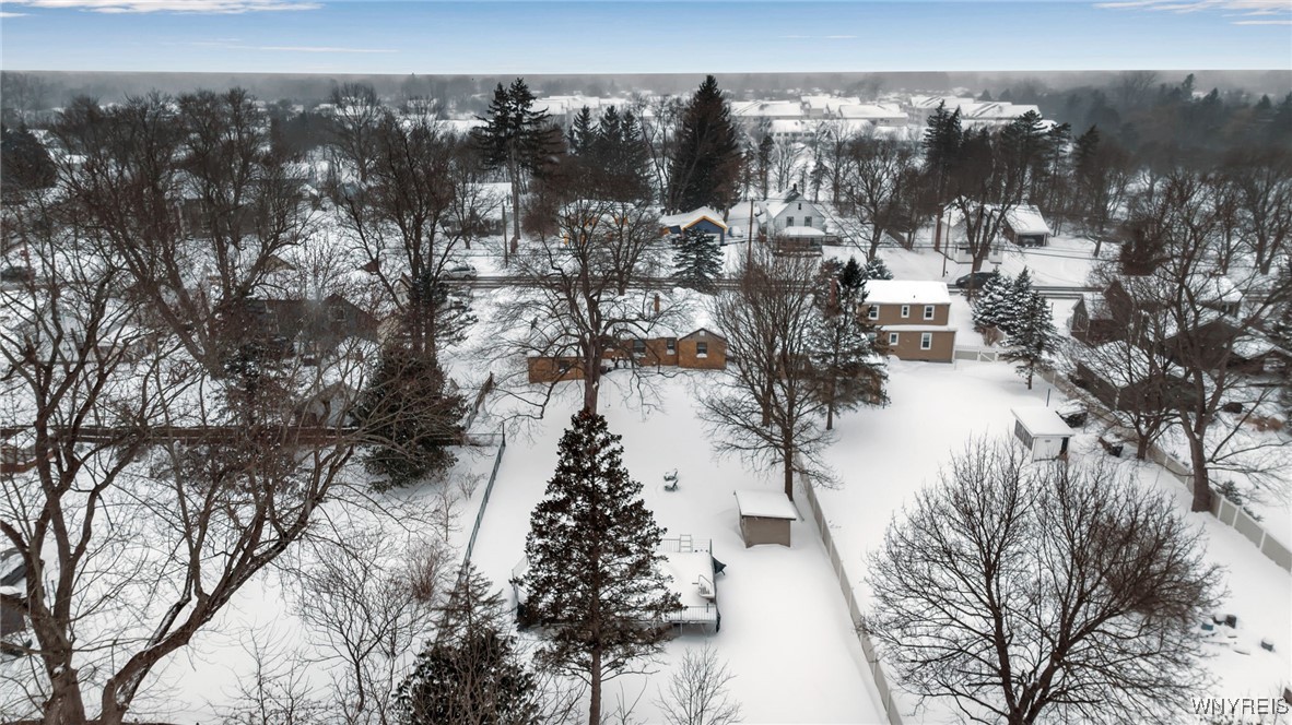 11 Cemetery Road Lancaster, NY 14086 - Photo 42 of 45