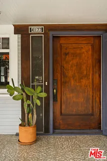 a view of a potted plant in front of a door