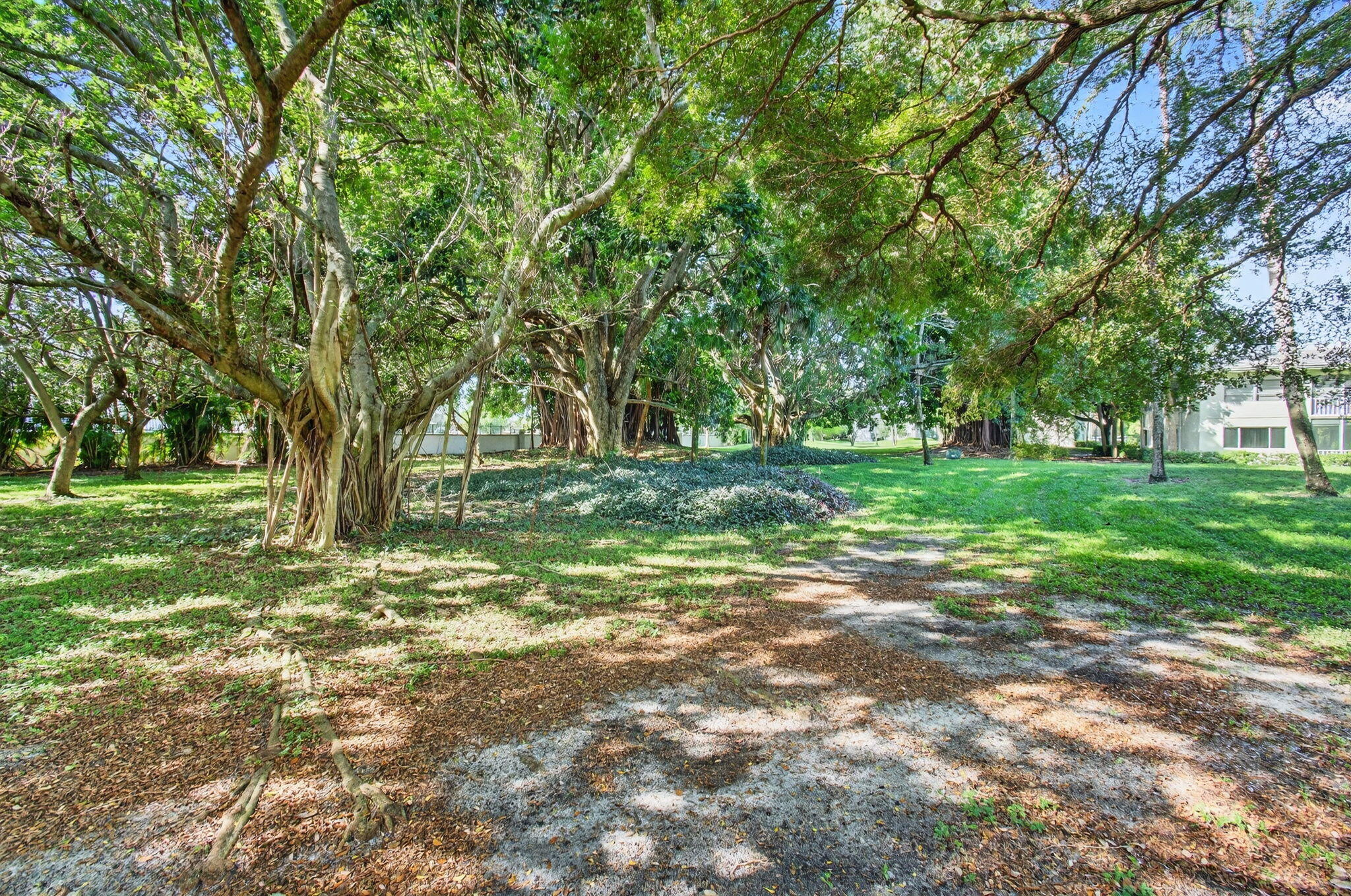 1501 Cayman Way, Unit C4 Coconut Creek, FL 33066 - Photo 51 of 67 Backyard behind the Building