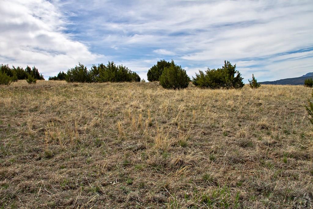Tbd Garrett Road Beulah, CO 81023 - Photo 22 of 42 Gallery Image 22